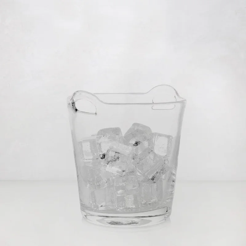 Small Glass Ice Bucket with Handles