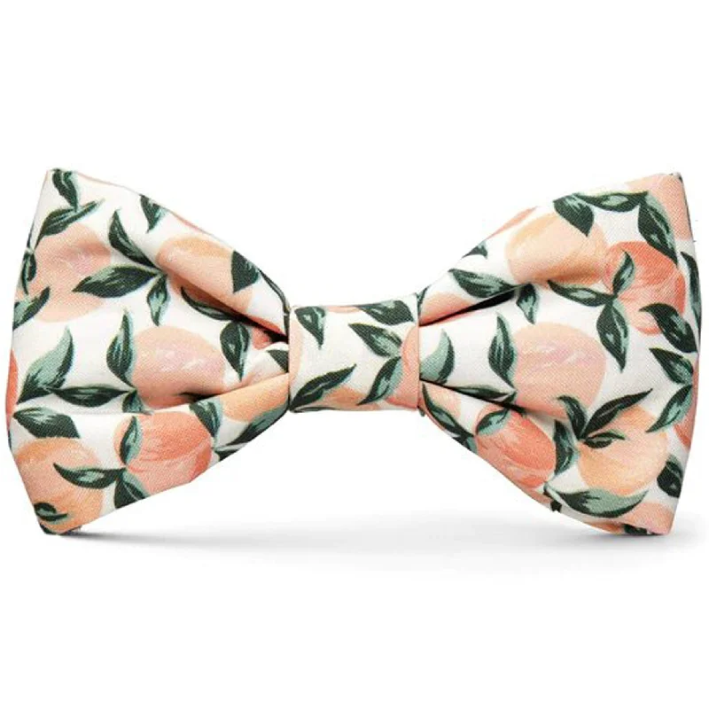 The Foggy Dog Peaches and Cream Dog Bowtie